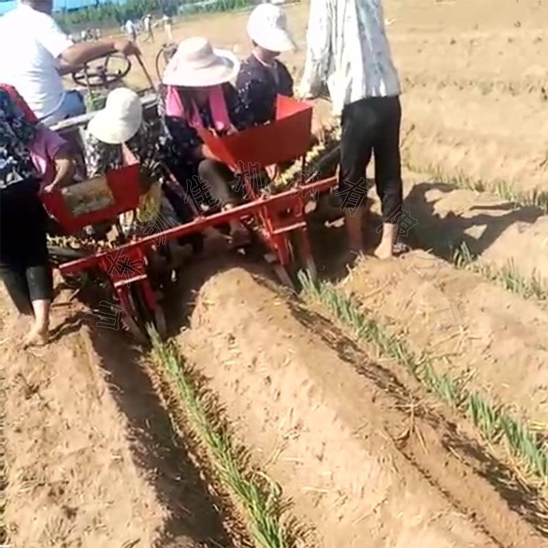 山西运城大葱移栽机自走式葱苗栽葱机辣椒茄子苗移栽机种葱机