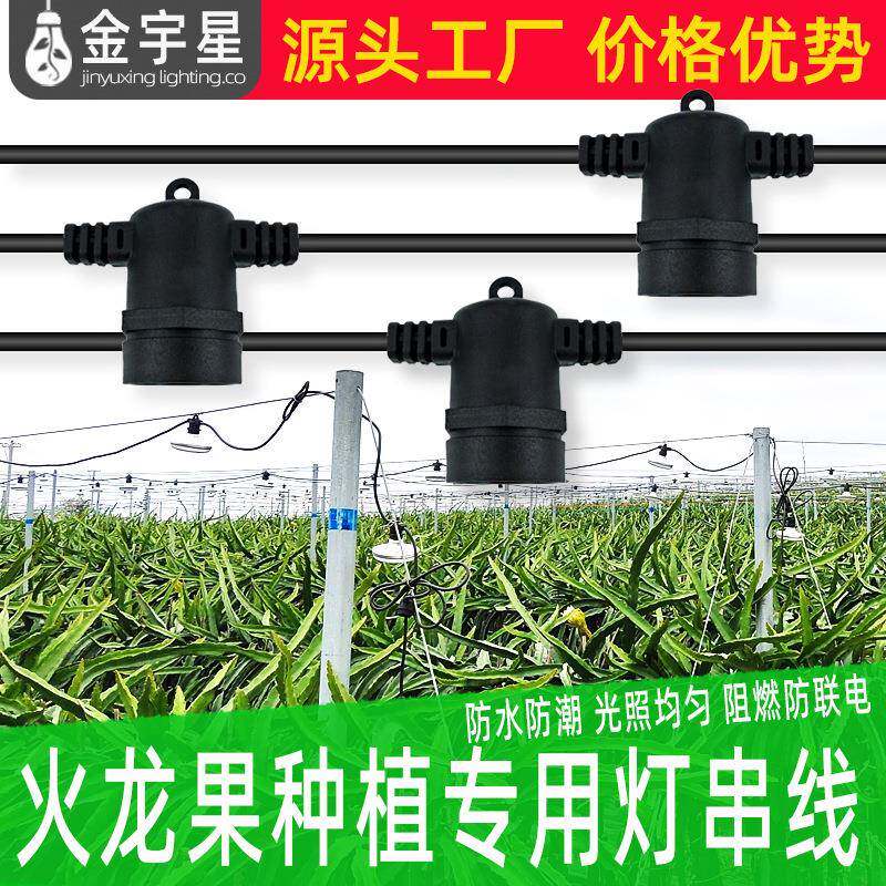 火龙果菊花百香果葡萄防水一体灯线养殖室外植物补光灯农业大棚