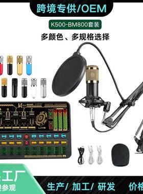 贸易热销SK500声卡英文BM80电容麦克风套装USB声卡直播K歌PC