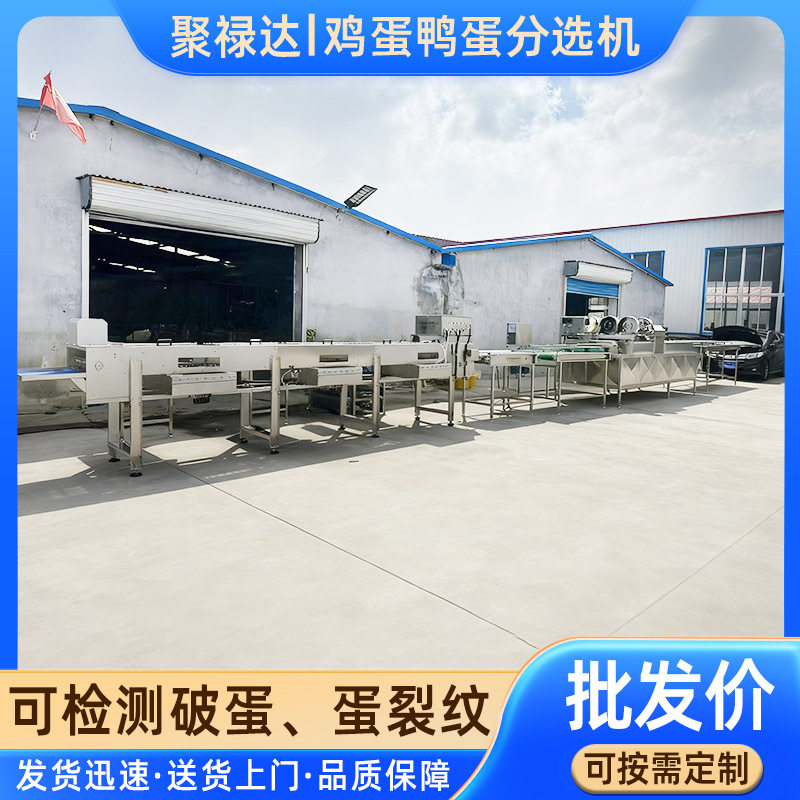 鸭蛋鸡蛋自动分级机智能设备商用蛋品不锈钢大小分选机器设备