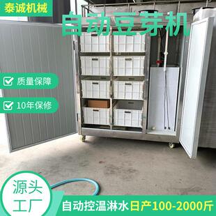 多用型自动豆芽机 微电脑控制生黑豆芽生产线 黄绿豆种子发芽设备