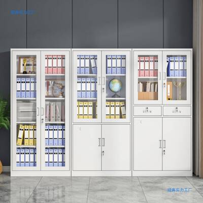 文件柜办凭公室资料收纳柜加厚财档案柜带锁务证储物柜矮柜柜DXS-