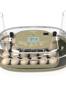 2新品4枚大猫小鸡孵化器TTU家禽芦脸丁孵鸡蛋孵蛋器孵化设备化机