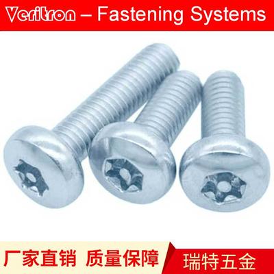 GB2672螺丝M5盘头内梅花带柱T25不锈钢304(A2)