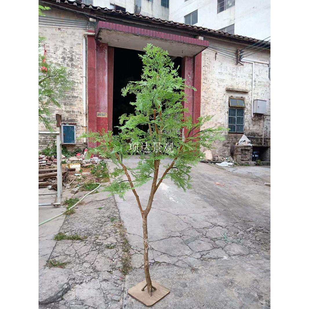 仿真扁柏树中式餐厅庭院园林小区落地造景装饰假绿植人造假侧柏树