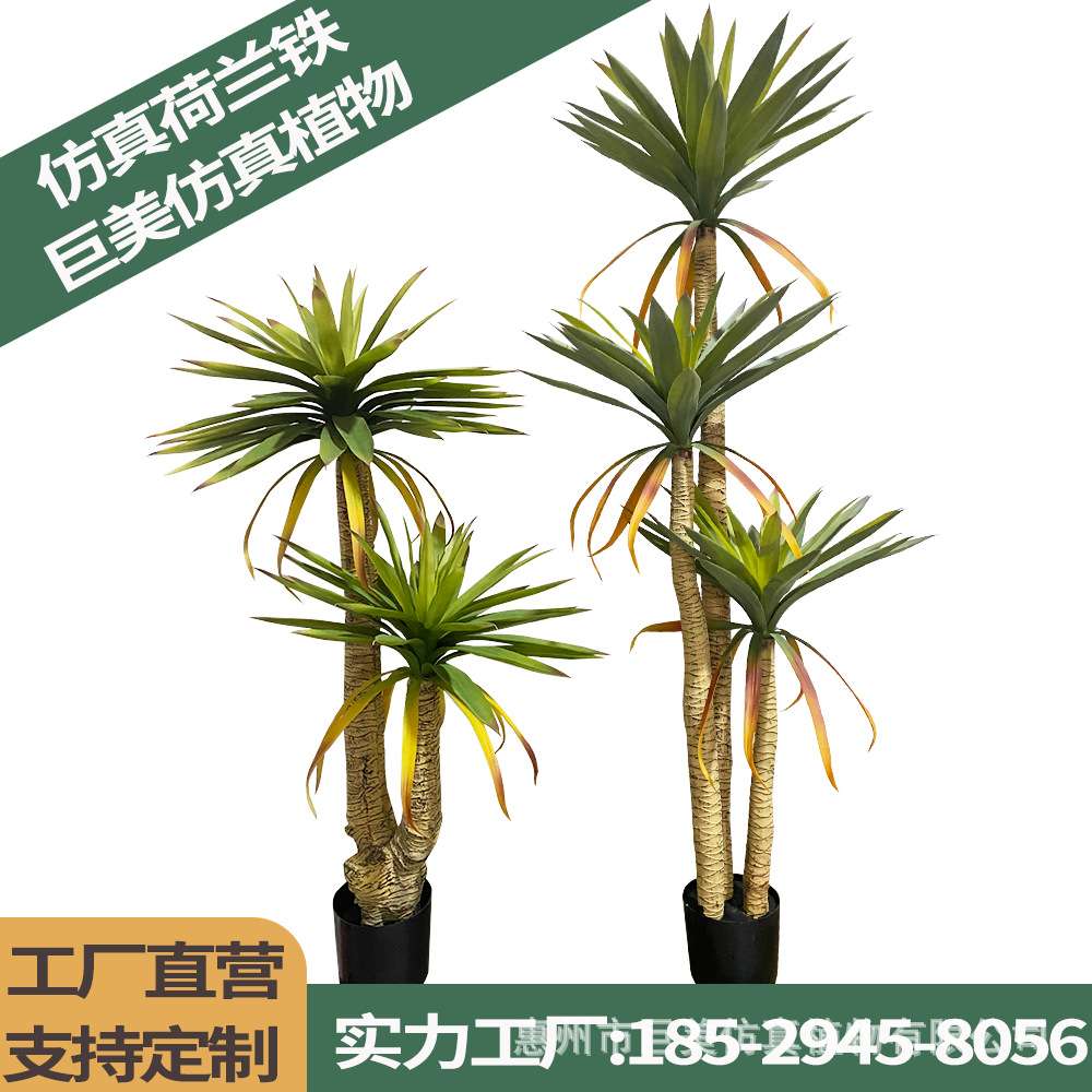 仿真荷兰铁绿植物树高杆观叶盆栽摆件盆景客厅商场橱窗造景室内