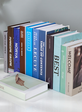 现代英文假书摆件店铺软装仿真书道具书样本书房装饰摆设书盒书壳