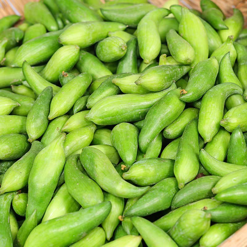 云南德宏特产新鲜蔬菜小雀瓜 小角瓜美味素食装短季时令蔬菜