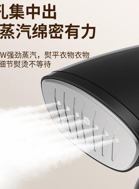 手持斗挂烫19068机家用便携烫机式除皱小型蒸衣汽熨斗大功率电熨