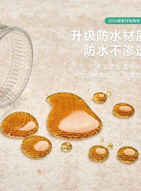 奢客厅地毯高级洗感耐脏易打客理纯色免轻素色沙JR202411发毯地毯