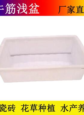 料水箱长方XAH盆形塑料塑盆白色敞口养鱼养养龟牛虾筋花草种植长