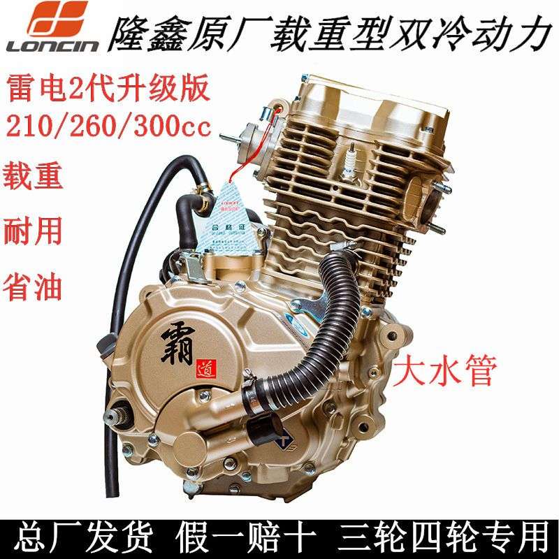 隆鑫原厂雷电二代载重型200 250 300cc三轮摩托车机头水冷发动机
