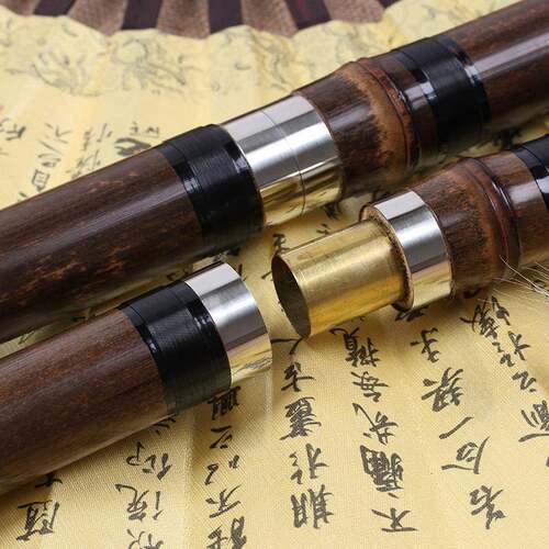 青长乐器厂家直竹销初学BDG入门紫箫萧白秦铜二节洞箫八孔G调F调
