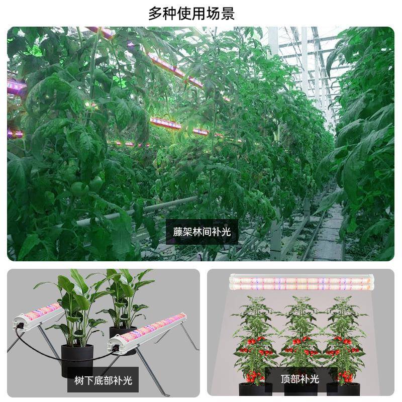 植物补光灯管XUM大120W西红柿黄瓜葡草莓蔬菜藤架萄种植育苗棚生