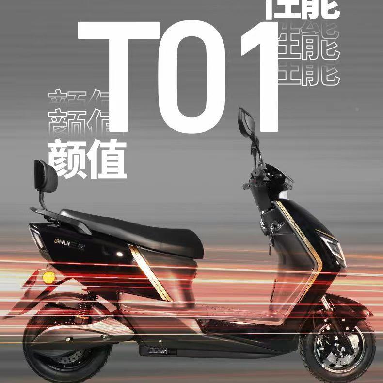 SH1000DT辉T可01三天能铅酸电池两电轮高速动摩托车送外卖专用配
