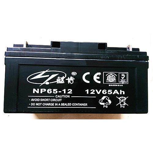 蓝肯蓄电池12V6H铅酸免维护NP65-12储能工业电瓶计算机系统包邮