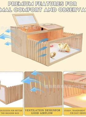 家用实木芦意丁鸡养箱室内木质芦丁鸡D589创箱木饲制小鸡育雏箱保