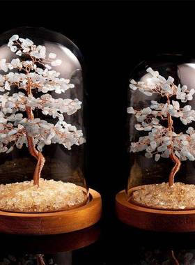 黄财水晶紫水晶粉晶碧玺橄榄石紫晶招发EUK树微景观家玻璃罩居摆