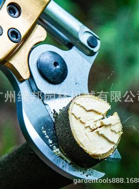 负40V电动果树修分枝剪4.5公背式粗枝剪剪公分4.修剪树枝修枝电剪