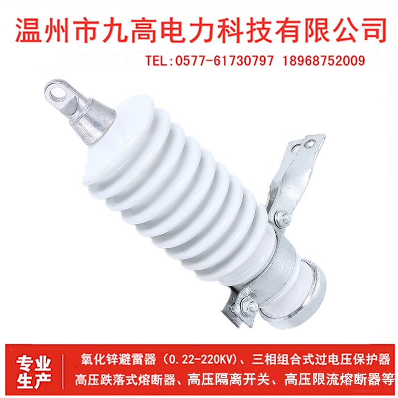 10KV户外高压氧化锌避雷器Y5WS-17/50/45 1P0KV户内陶瓷高压避雷