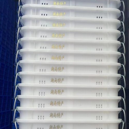 带铁提手水果运输筐塑料鱼筐收纳筐铁耳周转加厚蔬菜筐冷冻箩
