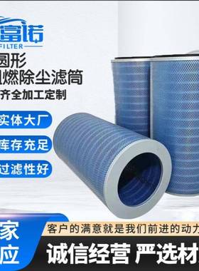 直销替代P191920工业用除尘过滤网滤筒P034303折叠滤芯阻燃