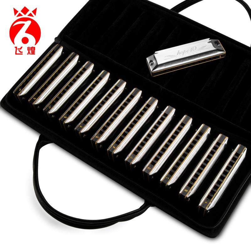 飞煌套装布鲁斯口琴F103十二调套装口琴学生成人演奏乐器布鲁斯