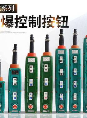 启东新黎明BAK21/31/41/51/71防爆电动葫芦手柄按钮开关控制按钮