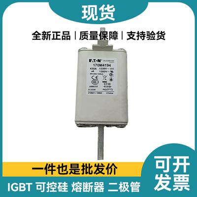 高压熔断器170M4194170M4195170M4196170M4197170M4198保险丝
