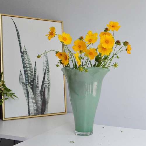 高级感中古奶油风玻璃花瓶客厅敞口白菜富贵竹水培家居样板间装饰