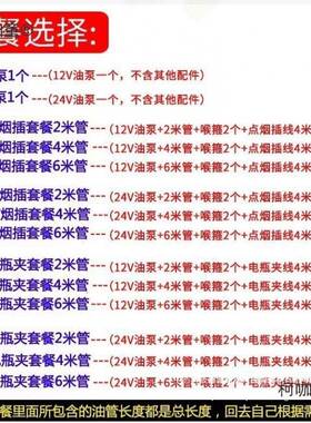 VSA电动抽太油泵汽油泵油泵水泵大功率12V4V自吸柴泵加油泵抽麦2