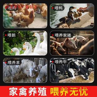 新款碎菜机切草机喂鸡鸭鹅家禽桶式多功能碎菜机家用不锈钢粉碎机