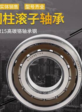 产YNN3020K/地货源大中型电动机NN020K/A满装圆柱滚子3轴承偏心轴