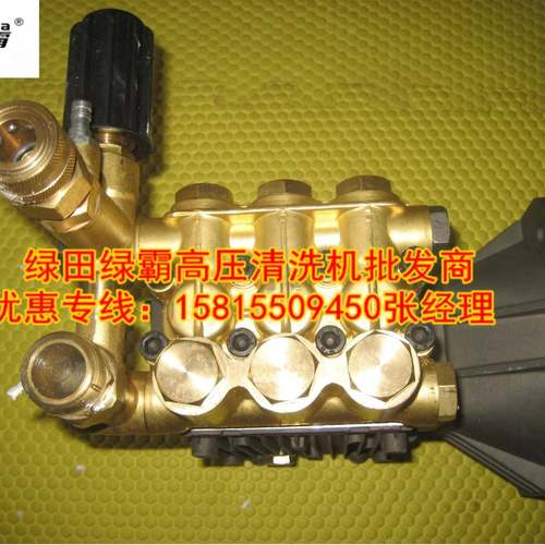 绿霸电动高压清洗机水泵电动机驱动3WZ-18145C配件铜