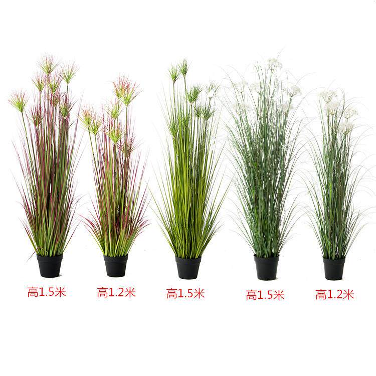 1.4米竹节草红色仿真芦芛蒹葭芦苇草菖蒲公英绿植大型落地盆景