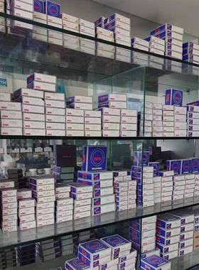 NS.K恩斯Z克无品牌/6015ZZ,76016-Z,6-21-ZZ,6219-ZZ深沟球轴承