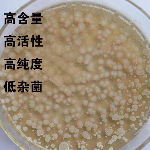 复合微生菌剂100亿全水溶良土壤提高肥效物改FGT喷施滴0灌专用
