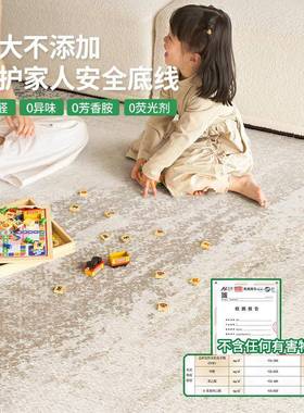 可洗地层毯客厅意式现代kcx24925轻奢可机拆洗沙发卧室大面积双家