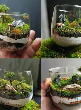 苔藓直筒瓶微景观生态瓶减青苔植ALPD物I办公室桌面压小Y盆栽厂家