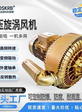 木工开料雕刻机真空泵RB-81D-2漩涡式气泵7.5KW分板雕刻吸附风机