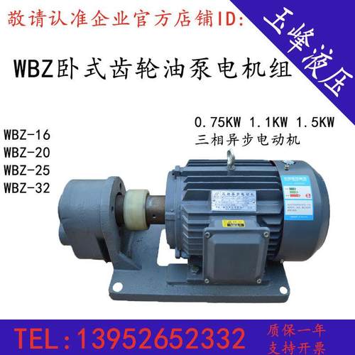 WBZ-6/10/16/25/40/50/63/100/125/160卧式齿轮油泵电机组CB-B4JZ