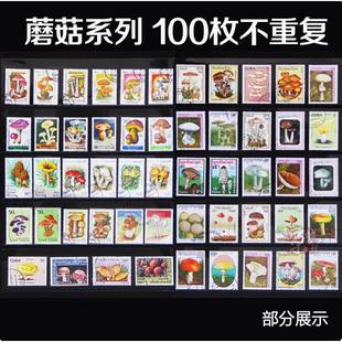 外国蘑菇邮票100枚不重复大型专题盖销邮票邮品