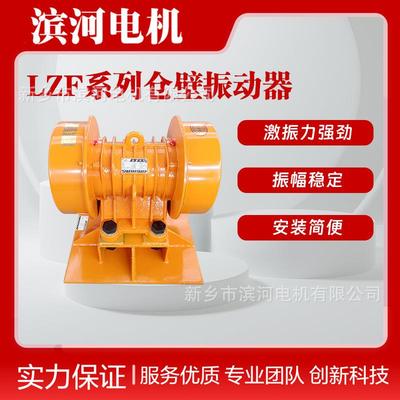 LZF-10防闭塞神器振动电机仓壁振动器滨河制造