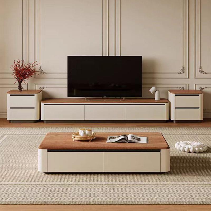 茶几电视柜组合轻奢客厅家用现代简约小户型储物地柜长方形
