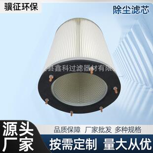 六杆螺丝吊装式除尘滤芯喷涂粉尘除尘滤筒覆膜举止除尘滤筒