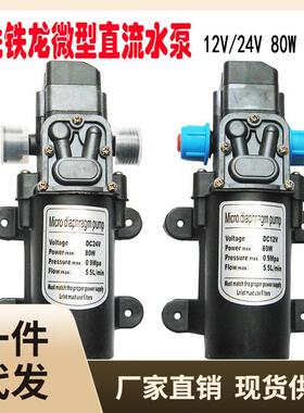 ε微型直流隔膜泵家用12V80W自吸增压电泵车载24V洗车高压智能