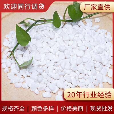 白色卵石机制雪花白盆栽装饰造XMS白石子卵石园艺庭院景鹅鹅雪花