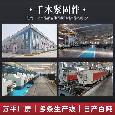 木箱镀锌木架蓝白锌外六半角木DMU螺丝钉全MM牙牙六角木螺丝610M1