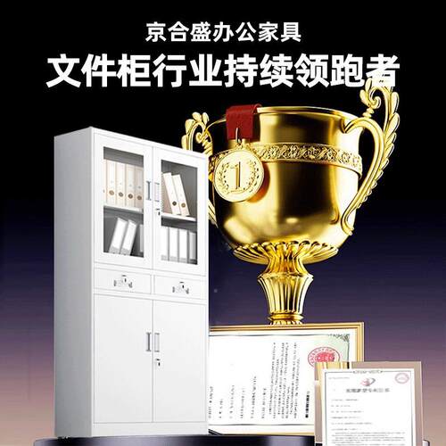钢制文件衣柜更柜宿公资料柜财务凭证柜带锁01储办物柜铁皮柜舍矮