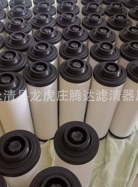 301500-000空真泵MLK4油雾分离器